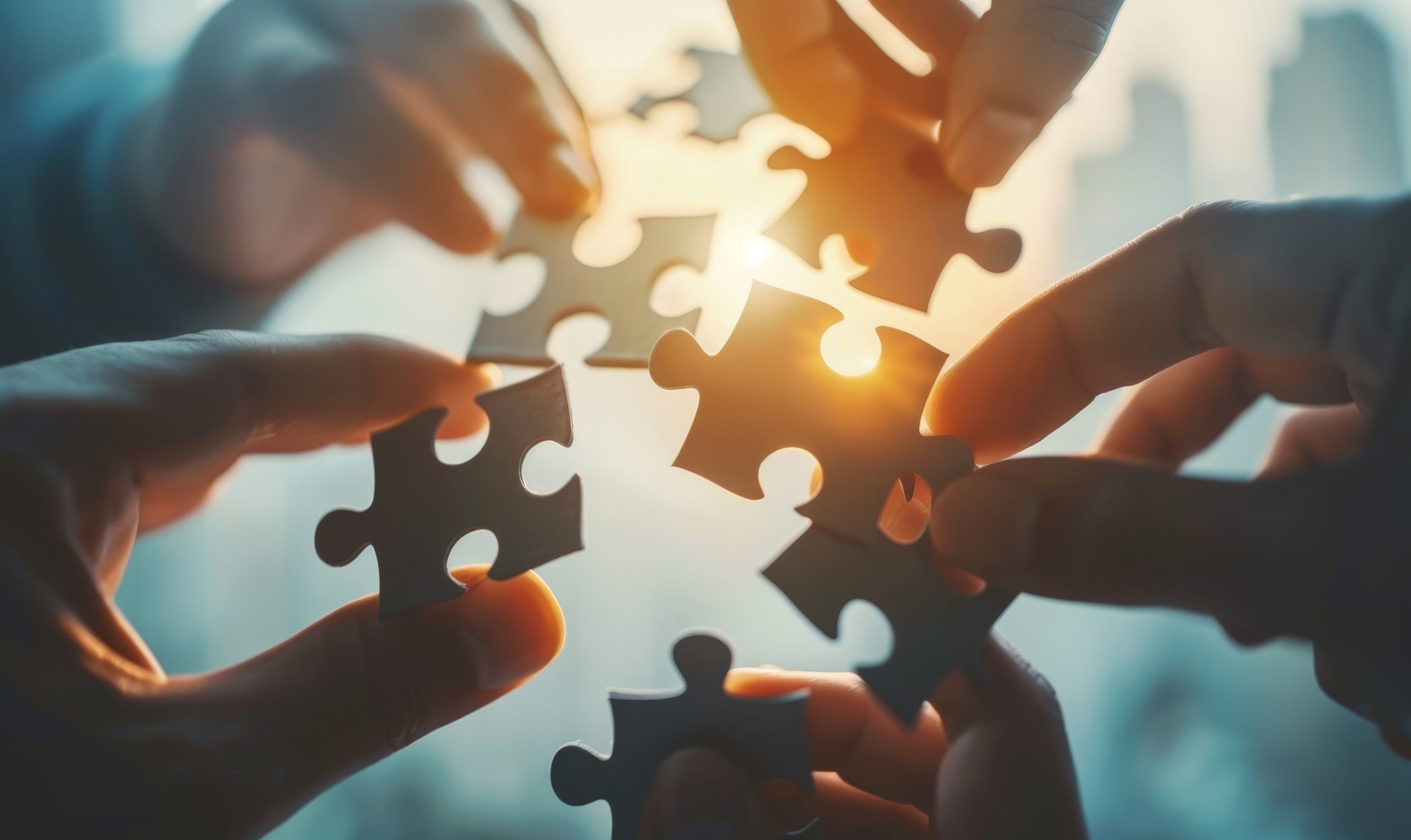 Equipe-de-direction-puzzle-decision-Christophe-Vigliano